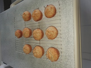 Coconut Banana Crunch Muffins