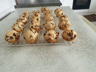 The Best Chocolate Chip Muffins