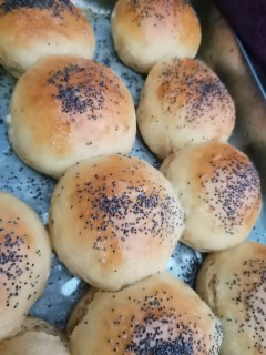 Poppyseeds Rolls