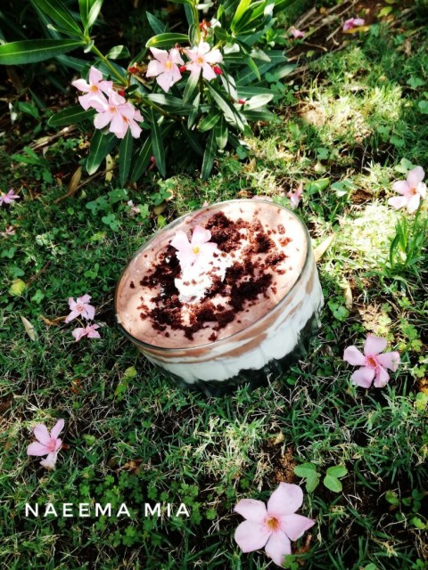 Chocolate Trifle 