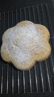 Delicious Sponge Cake