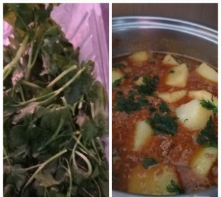 Durban Masala Mince Curry