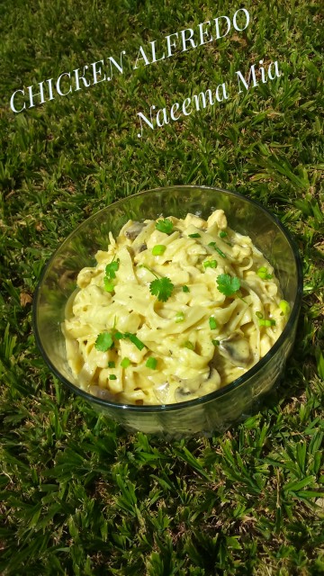 Chicken Alfredo