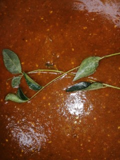 Mint (phudina) Amli Sauce