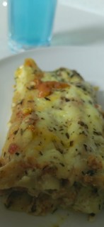 Mince Cannalonni