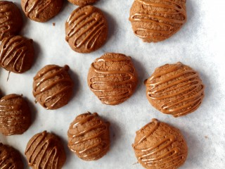 Easy Double Choc Cookies